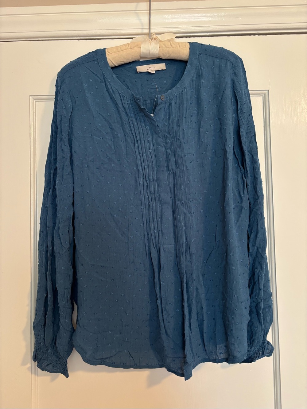 Teal Blue Textured Swiss Dot Long-Sleeve Blouse